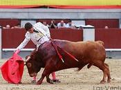 Mansedumbre ganas torero