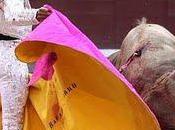 Madrid feria: tres espadas chocaron novillada mansa descastada como borricos