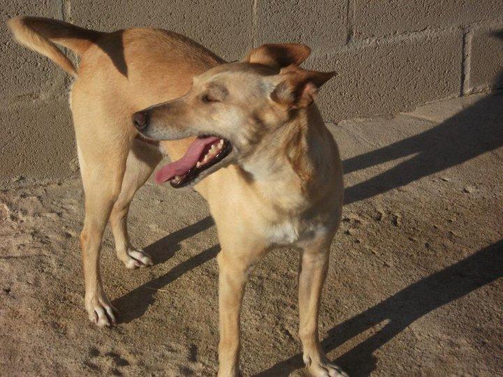 Que difícil es hablar de ellos