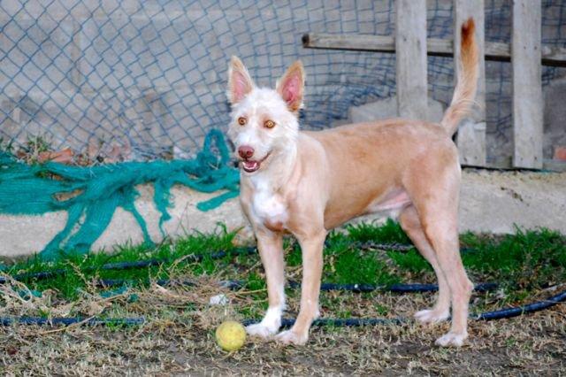 Que difícil es hablar de ellos