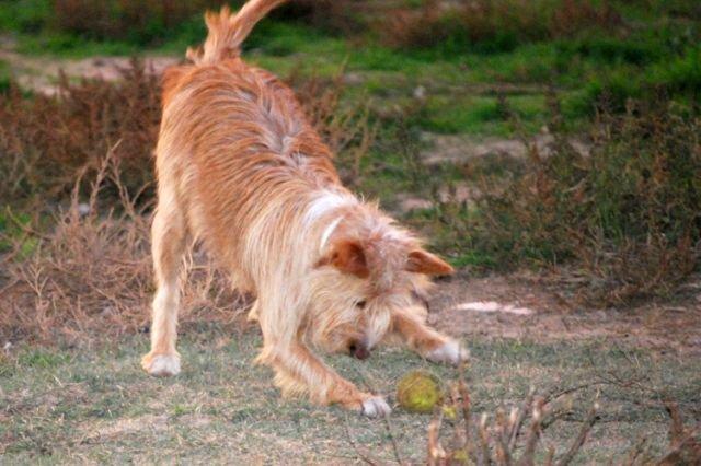 Que difícil es hablar de ellos