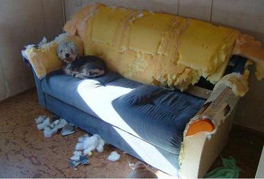 Una simple pregunta.