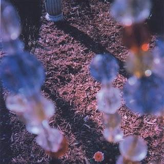 Imaginary Softwoods - The Path of Spectrolite (Amethyst Sunset,2011)