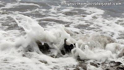 TODO ES MAS SENCILLO TODO ES MAS SENCILLO