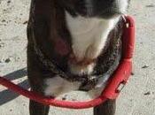 Katerina cada triste apagada. urgente!!