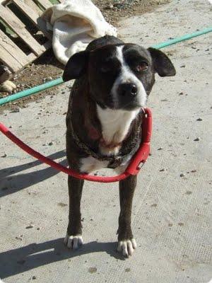 KATERINA CADA DÍA MÁS TRISTE Y MÁS APAGADA. MUY URGENTE!!