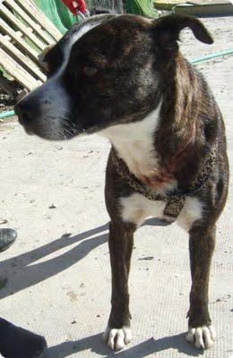 KATERINA CADA DÍA MÁS TRISTE Y MÁS APAGADA. MUY URGENTE!!