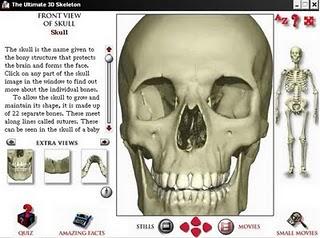 The Ultimate 3D Skeleton CD-ROOM - Dorling Kindersley