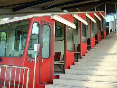 ... a Artxanda con mascota.