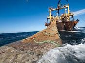 ruina pescadores artesanales