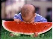 Resumen sesión on-line: errores alimentación infantil