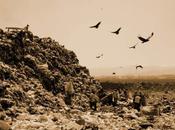 Waste Land, Brasil 2010