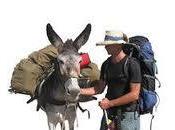 Viaje Burro