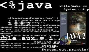 La Biblia de Java 2