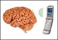 Deshojando la margarita entre móvil y cáncer