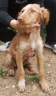 Alfa, la hija adoptiva de Alba