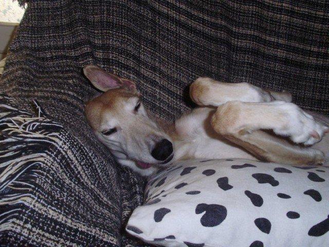 Queda inaugurada la temporada de casa