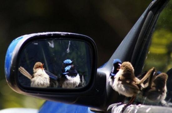 Espejos: El Yo Detrás de un Vidrio