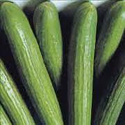 España tiene un gobierno tullido, incapaz de defender sus intereses