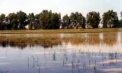 Las Lagunas del Sur de Córdoba