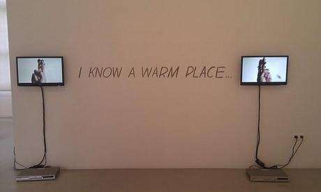 La Gran Aventura: Elige tu exposición