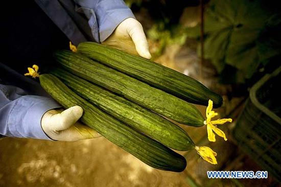 Polonia lamenta que Alemania no haya identificado el origen de la infección