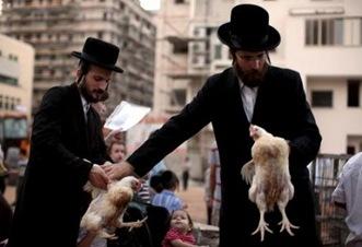 judios-ortodoxos.galeria