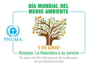 Día Mundial del Medio Ambiente / World Environment Day Día Mundial del Medio Ambiente / World Environment Day