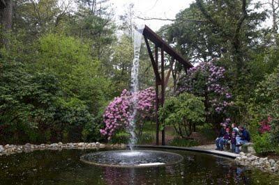 Festivales: el jardín de los rododendros