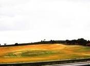 minuto gloria