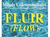Fluir (Flow)