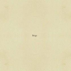 Beige-Folds Beige Folds 250x250 Beige Folds (2011)