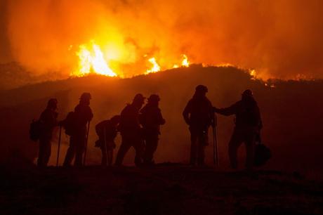 ¡Arde el bosque!