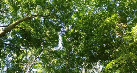 Estudio sobre el impacto medioambiental en el sector cultural catalán