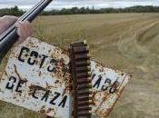 hunta Handaluzía”.