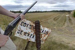 “La hunta de Handaluzía”.