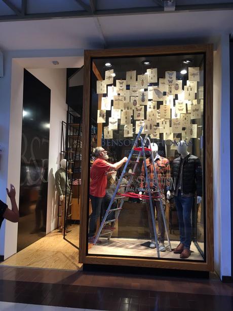 2017, Marzo, Insectos y Mariposas 1