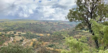 Sin ninguna gana de salir he salido Sin ninguna gana de salir he salido