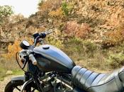 ninguna gana salir salido