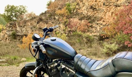 Sin ninguna gana de salir he salido