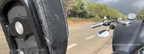 Sin ninguna gana de salir he salido Sin ninguna gana de salir he salido