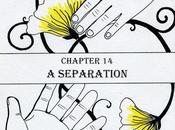 Chapter separation