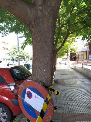 RESUMEN MES DE OCTUBRE 2019 RESUMEN MES DE OCTUBRE 2019