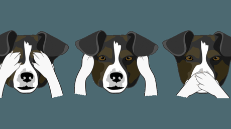 La erótica del poder y el flirteo ante las cámaras televisivas que no pueden mirar a otro lado, al observar con sus objetivos indiscretos tanta “animalada”