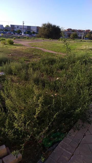 RESUMEN MES DE SEPTIEMBRE 2019