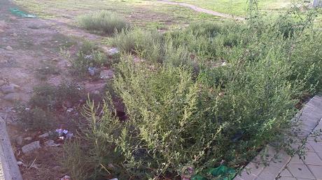 RESUMEN MES DE SEPTIEMBRE 2019