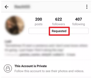 ¿Cómo ver una Cuenta privada de Instagram? Aquí te Explicamos.