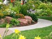 fertilizantes cascara platano Potasio Frutos @cosasdelj...