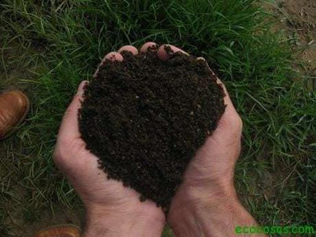 humus de lombriz liquido