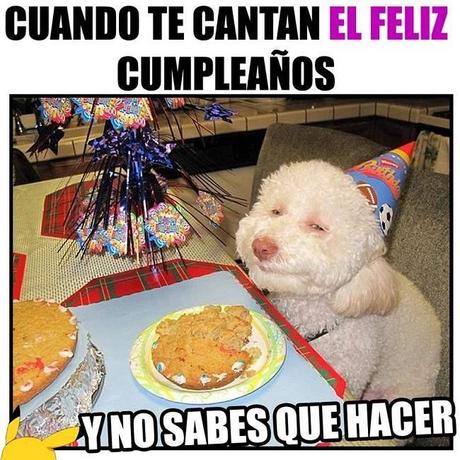 Felicitaciones de Cumpleaños Originales y Divertidos para WhatsApp Felicitaciones de Cumpleaños Originales y Divertidos para WhatsApp